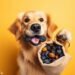 Can Dogs Eat Prunes