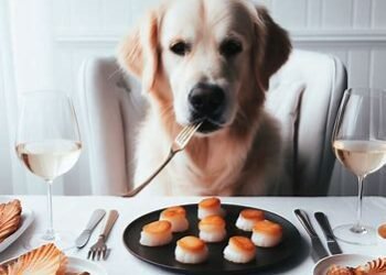 Can Dogs Eat Scallops