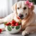 Can Dogs Eat Strawberries
