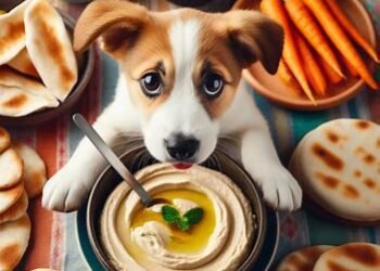 Can Dogs Eat Hummus