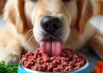 Can dogs eat Ground Beef