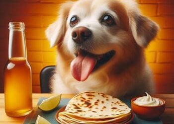 Can dogs eat tortillas