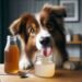 Can Dogs Eat Vinegar