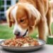 Can Dogs Eat Ground Turkey