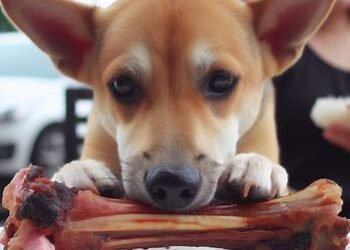 Can Dogs Eat Pork Chop Bones
