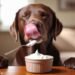 Can Dogs Eat Sour Cream