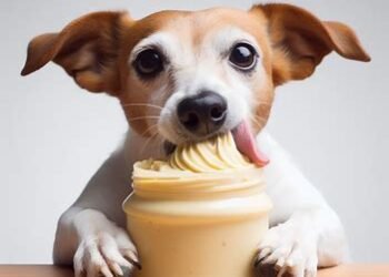 Can Dogs Eat Mayo