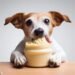 Can Dogs Eat Mayo