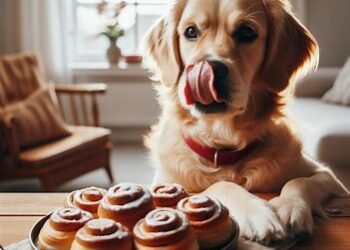 Can dogs eat Cinnamon Rolls