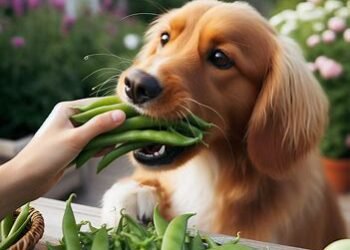 Can Dogs Eat Sugar Snap Peas