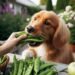 Can Dogs Eat Sugar Snap Peas