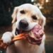 Can Dogs Eat Beef Bones