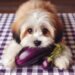 Can Dogs Eat Eggplant