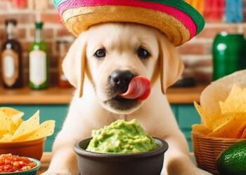 Can Dogs Eat Guacamole