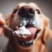Can Dogs Eat Cream Cheese?