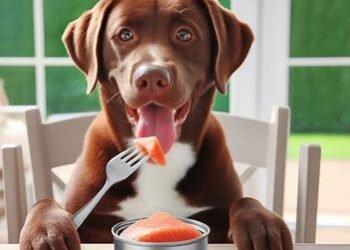 Can Dogs Eat Canned Salmon