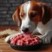Can Dogs Eat Raw Ground Beef