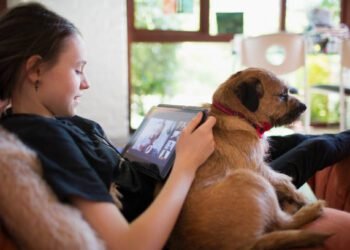 Telmisartan for Dogs: Benefits, Dosage, Side Effects, and More