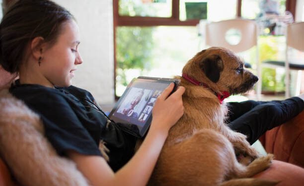 Telmisartan for Dogs: Benefits, Dosage, Side Effects, and More