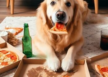 Can Dogs Eat Pizza Crust