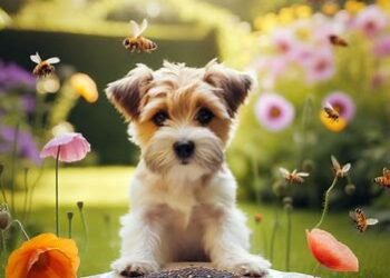 Can dogs eat poppy seeds