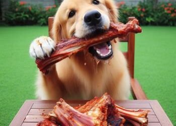 Can Dogs Eat Beef Rib Bones