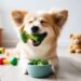 Can Dogs Eat Broccoli