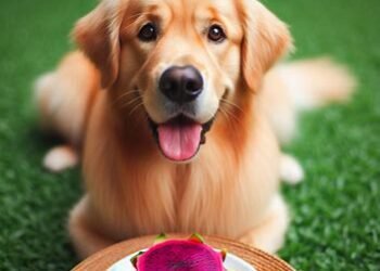 Can Dogs Eat Dragon Fruit