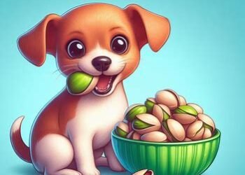 Can Dogs Eat Pistachios