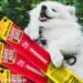 Can dogs eat Slim Jims