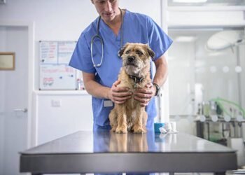 Triamcinolone Acetonide