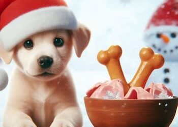 Can dogs eat ham bones