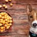 Can Dogs Eat Chickpeas