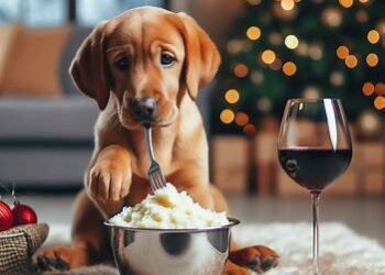 Can Dogs Eat Mashed Potatoes