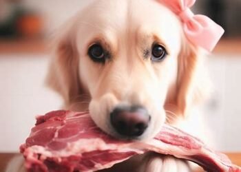 Can Dogs Eat Raw Pork