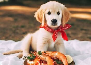 Can Dogs Eat Cooked Shrimp