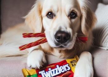 Can Dogs Eat Twizzlers