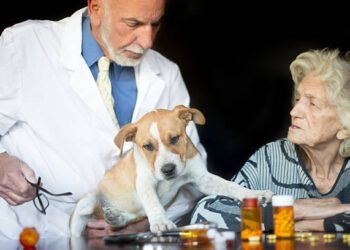 Mirtazapine for dogs