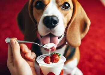 Can dogs eat yogurt