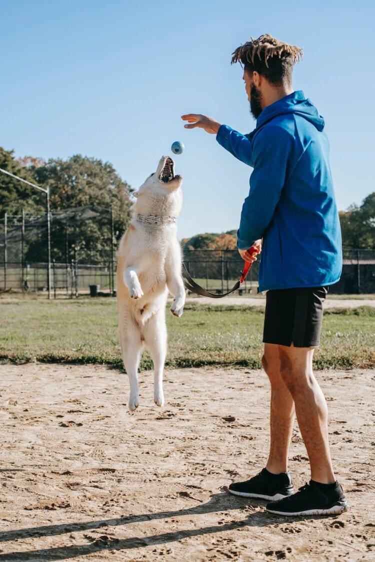 active man with jumping dog on street