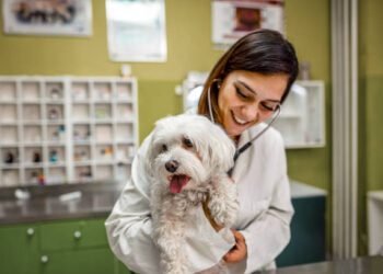 ursodiol for dogs