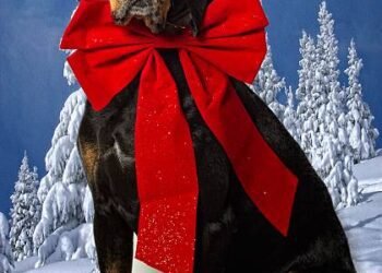 Black and Tan Coonhound