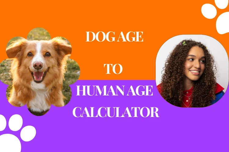 Dog Age To Human age calculator