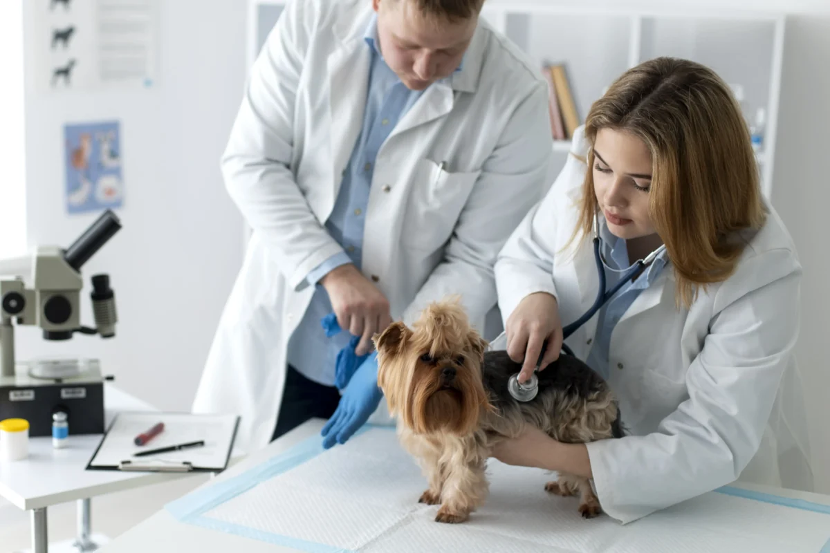 Fludrocortisone Acetate for dogs