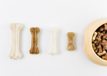 Dental Bones for Dogs