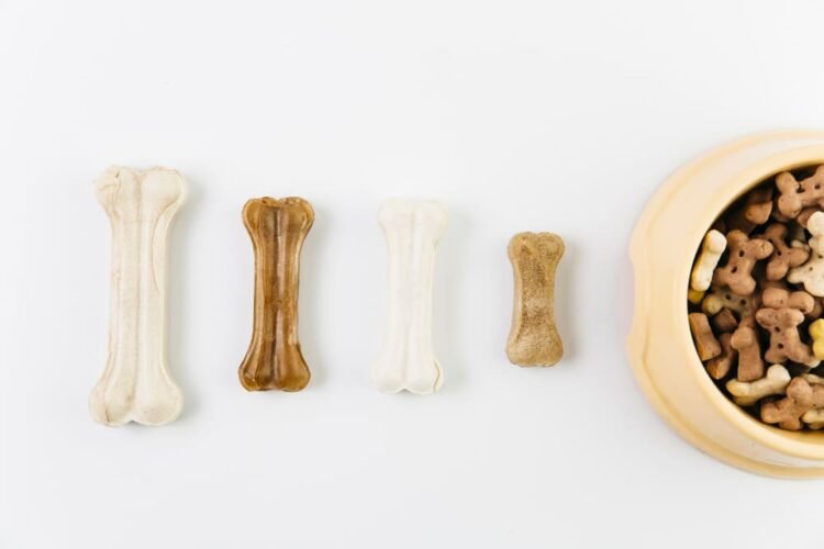 Dental Bones for Dogs