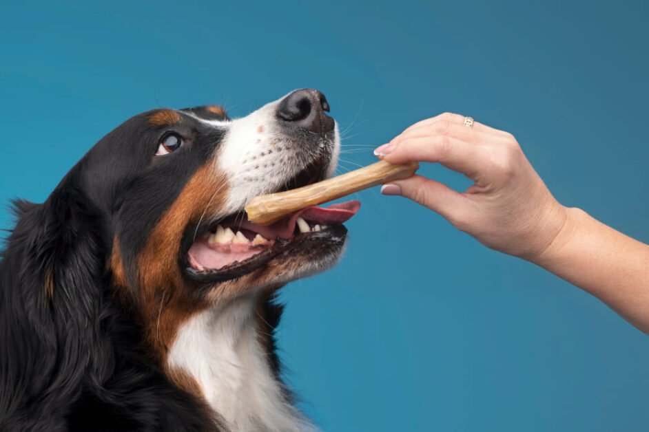 Dental Bones for Dogs