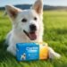 claritin for dogs
