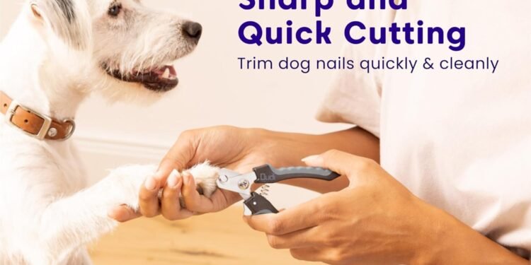 dog nail clipper