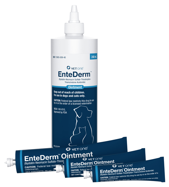 EnteDerm ointment for dogs